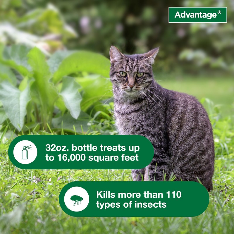 Advantage Yard & Premise Spray | Kills Fleas & Ticks