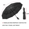LANBRELLA Travel Umbrella, Compact Folding Vented Double Canopy Auto Open