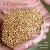 Organic Soy Sauce Naturally Brewed Japanese Soybeans & Wheat 100%