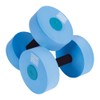 Power Systems Water Dumbbells, Light Resistance, Pair, Blue (86550)