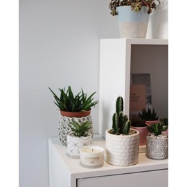 Rathbornes Cedar Cloves & Ambergris Woody Oriental Scented Candle Four-Wick Luxury Candle 390g