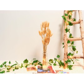 Dried Pampas Grass in Glass Vase with LED Lights & Faux Crystals, Bunny Tails Dried Flowers Modern Floral Centerpiece for Home Decors Living Room Office Wedding Boho Farmhouse Table Decor