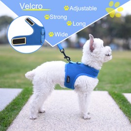 Small Dog Harness and Leash Set Small Pet Harness for Summer, Adjustable Soft Padded Dog Vest for Poodle, Pomeranian, Chihuahua, Minlature Pinscher Under 13LBS, Solid Blue Mesh Fabric