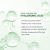 Neutriherbs Hyaluronic Acid Serum, Lightweight/Rapidly Hydrate Skin, Daily Facial Serum