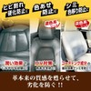 Prostaff C-88 Car Wash Supplies, Glacias Gold Leather Protector, 6.1