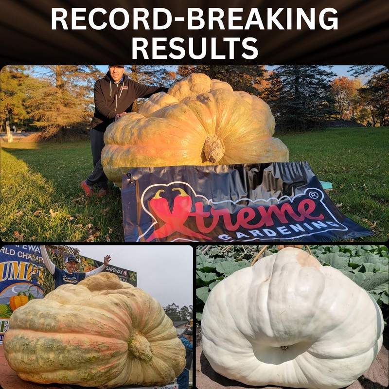 Mykos WP Mycorrhizae Powder 2.2 lb – Organic Mycorrhizae for