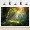 Fantasy Forest Reptile Tank Background Lightning Bugs Fireflies Forests Field