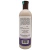 Zion Health Daily Sensitive Shampoo Zion Health 16 oz Liquid
