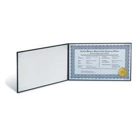 PaperDirect Blue Leatherette Holder, 9 Inches X 11 1/2 Inches
