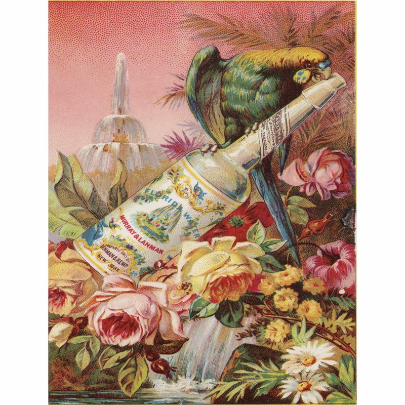 Florida Water Rice Paper, 8 x 10.5 Inch - for