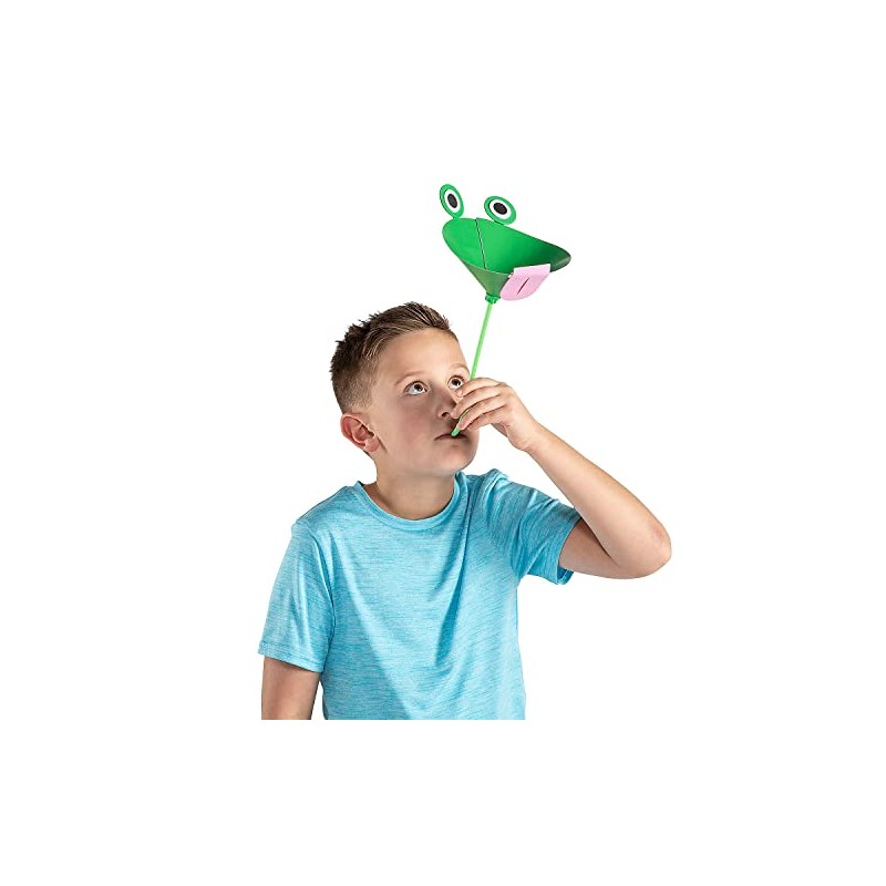 STEM Levitating Fly Craft Kit, Makes 12