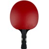 Butterfly Timo Boll Platinum Table Tennis Bat - ITTF Approved,