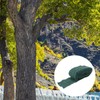Kisangel Fruit Trees Winter Protection Wrap 20m Tree Trunk Cover