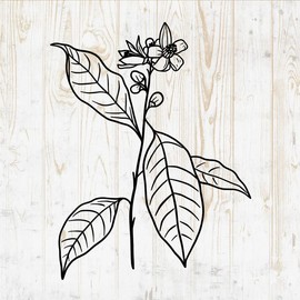Flower Bouquets Wall Decals - Flower Bouquets Wall Stickers - Minimalistic Minimalist Floral Botanical Leaves Branches Silhouette - Car Window Tumbler Laptop Bedroom Room Home Decor DWSV13171