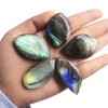 Gemgogo 5 Pcs Natural Labradorite Leaf Shaped Crystals and Healing