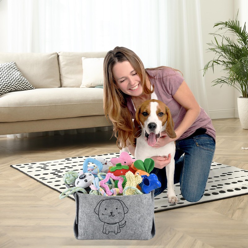 Ousiya Ousiya 24 Pack Puppy Toys Set with Storage Box