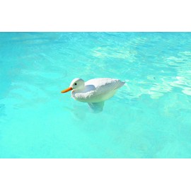 Poolmaster Chlori-Duck Chlorine Dispenser for Swimming Pools and Spas, White Duck