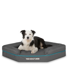 The Dog’s Bed Orthopedic Memory Foam Waterproof Corner Dog Bed, Large, Grey & Blue Trim, Eases Pet Arthritis & Hip Dysplasia Pain, Therapeutic & Supportive, Washable Oxford Fabric Cover