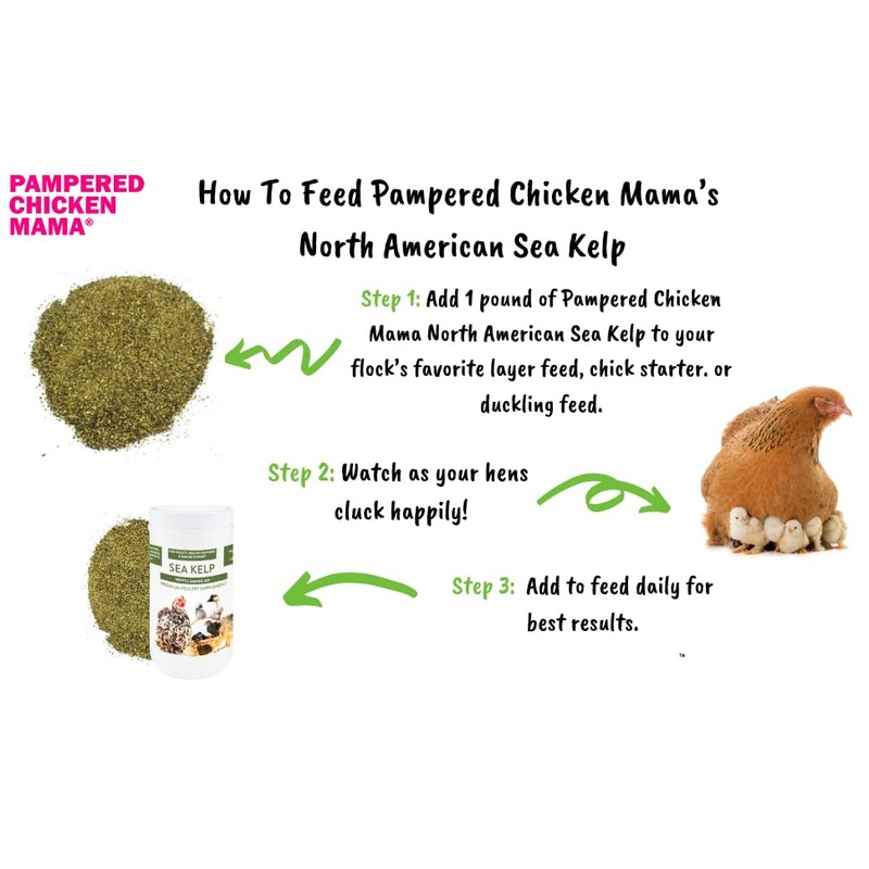 Kelp for Chickens & Duck Feed (5 Pound): Chicken Vitamins