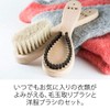 Special Set Easy Pill Removal Standard & Clothes Brush