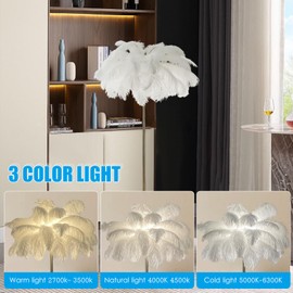 Floor Lamps for Living Room, Modern Luxury Real Ostrich Resin Feather Floor Lamp, Romantic Princess Bedroom Standing Lamp for Bedroom/Dining Room/Living Room with E14 Bulb (63in)
