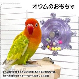 EsiFare Parakeet Toy, Bird Toy, Chewing Toy, Rotation Toy, Training, Educational Toy, Nibble, Stress Relief, Chewing Toy, Parrot, Cockatiel, Budgie Rotary Toy (Purple)