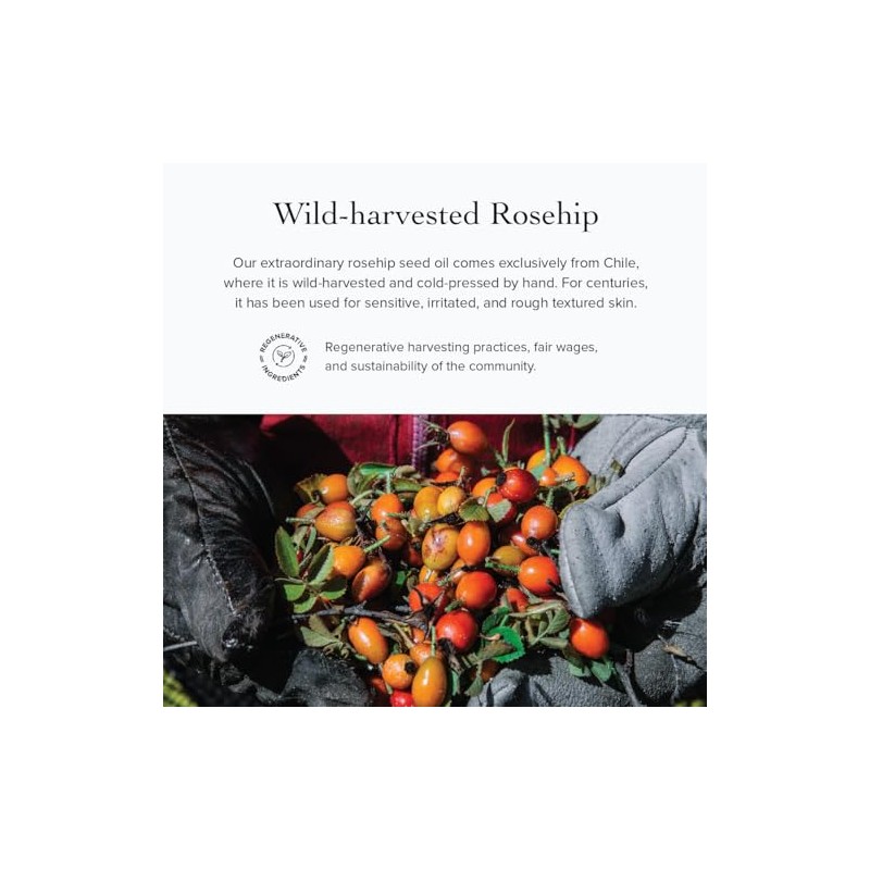 Wild Carrot Eye Balm by evanhealy