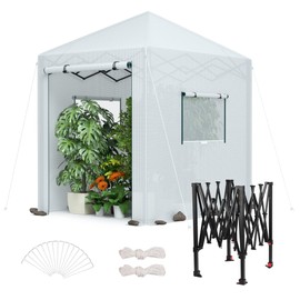 WORKPRO Greenhouse, 94" x70" x98" Instant Pop-up Heavy Duty Gardening Green House Canopy with Robust PE Cover, Indoor Outdoor Plant House Shed with Roll-up Entry Doors and 2 Screen Windows