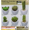 コロコレ デスクトップガーデン 【多肉植物】　　全6種セット　ガチャ