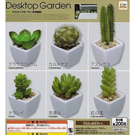 コロコレ デスクトップガーデン 【多肉植物】　　全6種セット　ガチャ