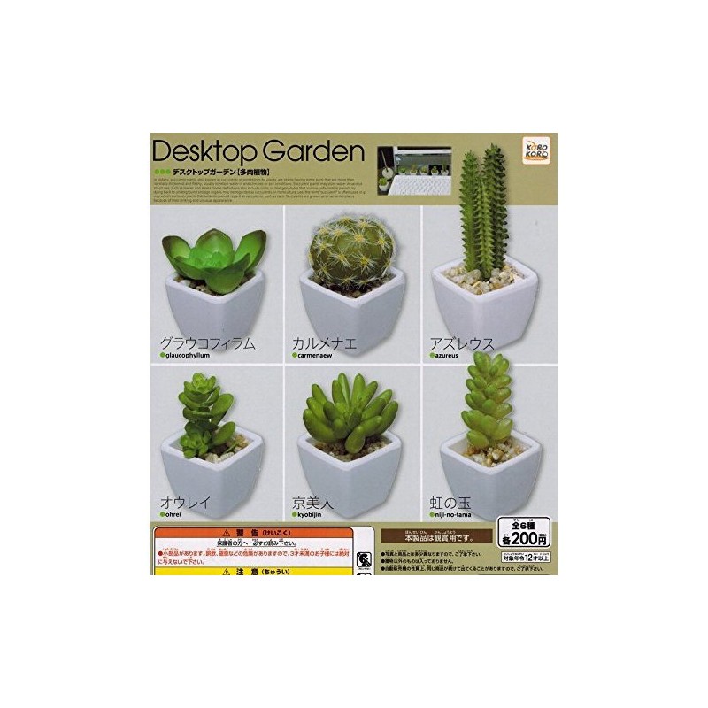 コロコレ デスクトップガーデン 【多肉植物】　　全6種セット　ガチャ