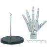 Articulated Hand Model for Drawing 1:1 Size Posable Mannequin Hand