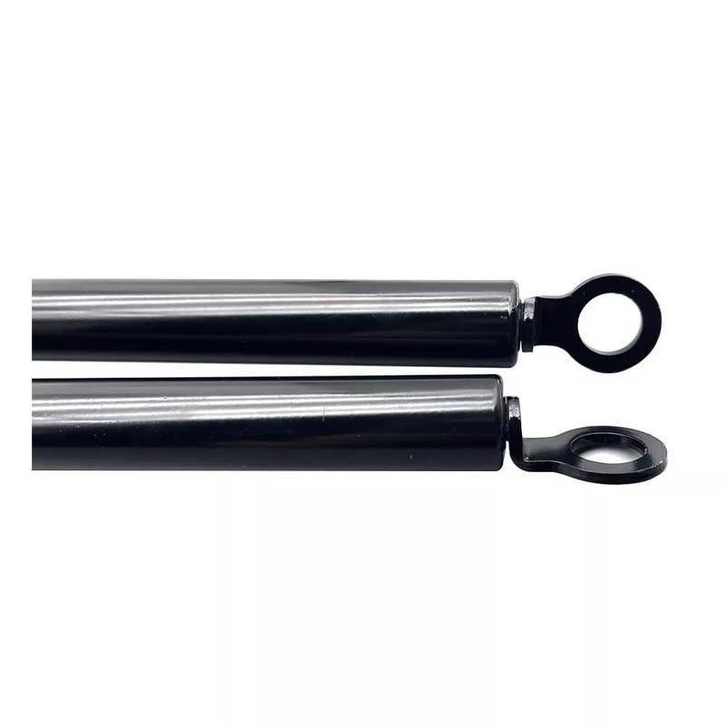 FAMUGOS 2PCS Rear Hatch Lift Supports Shocks Replacement for Honda