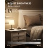 EZVALO Outdoor Cordless Table Lamp, IP65 Waterproof 4500mAh Rechargeble Shower