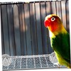 HEMOTON 2pcs Stainless Steel Parrot Perch Platforms Cozy Resting Jumping