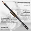 Charcoal Pencils for Drawing, Set of 12 Drawing Pencils for
