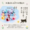 Korolla Seina Preserved Flower White Cat Black Cat Flower Gift