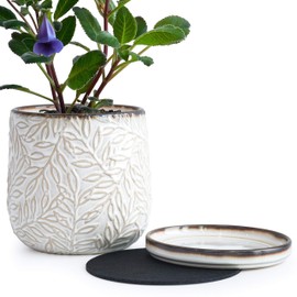 6 Inch Embossed Leaves Design Stoneware Planter Pot with Drainage Hole and Saucer