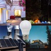 TZHILAN E26 12V Low Voltage LED Light Bulbs 5W A19