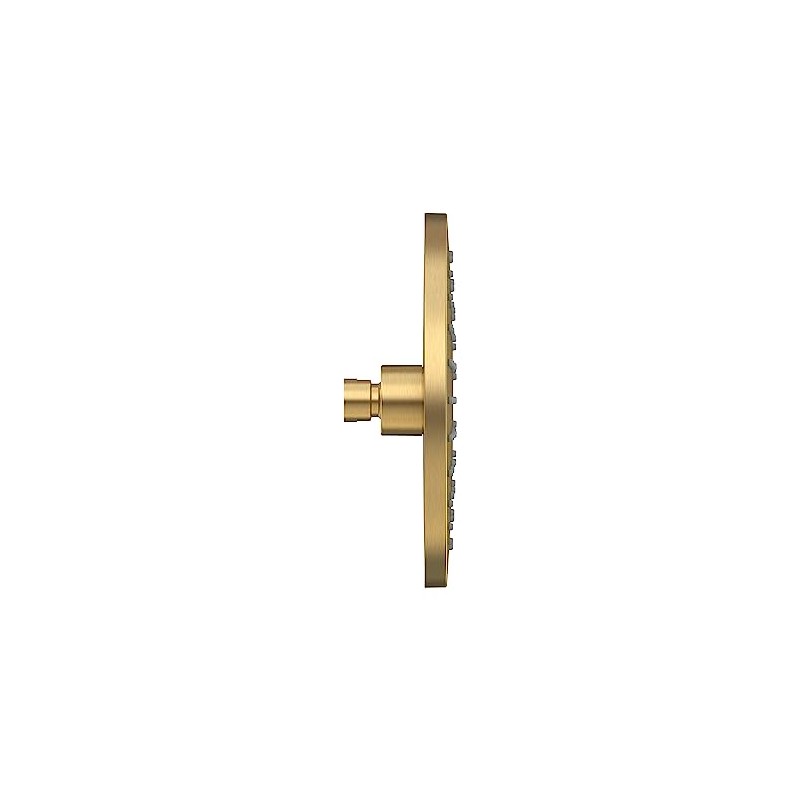 American Standard 1660528.GN0 Studio S Showerhead, 1.8 GPM, Brushed Gold