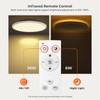 Matane 15.4in LED Flush Mount Ceiling Light Fixture with Remote,