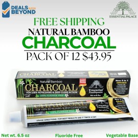 Essential Palace 12 Pack Bamboo CHARCOAL Toothpaste By Essential Palace 5 in 1 100% Fluoride Free