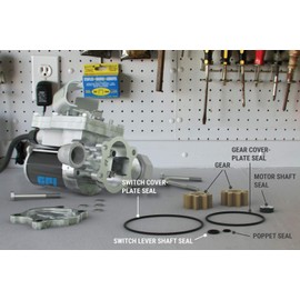 GPI Overhaul Kit for EZ-8 Fuel Transfer Pump manufactured Jan. 15, 2016 or later, Two Gears, and Replacement Seals (137500-14)