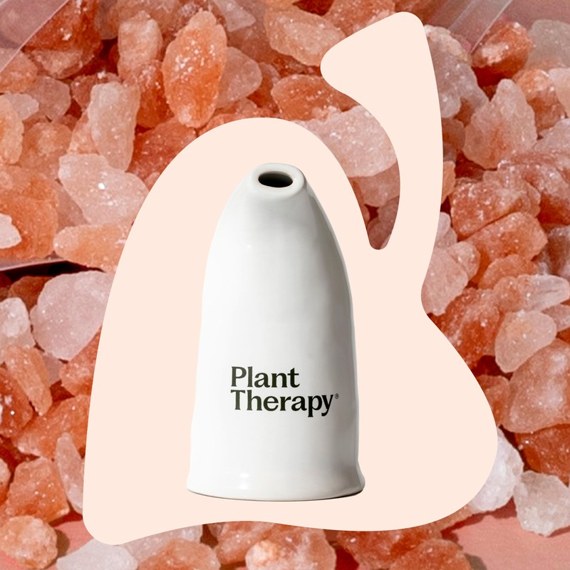 Plant Therapy Pink Himalayan Salt Inhaler w/Pink Himalayan Crystal Salt,