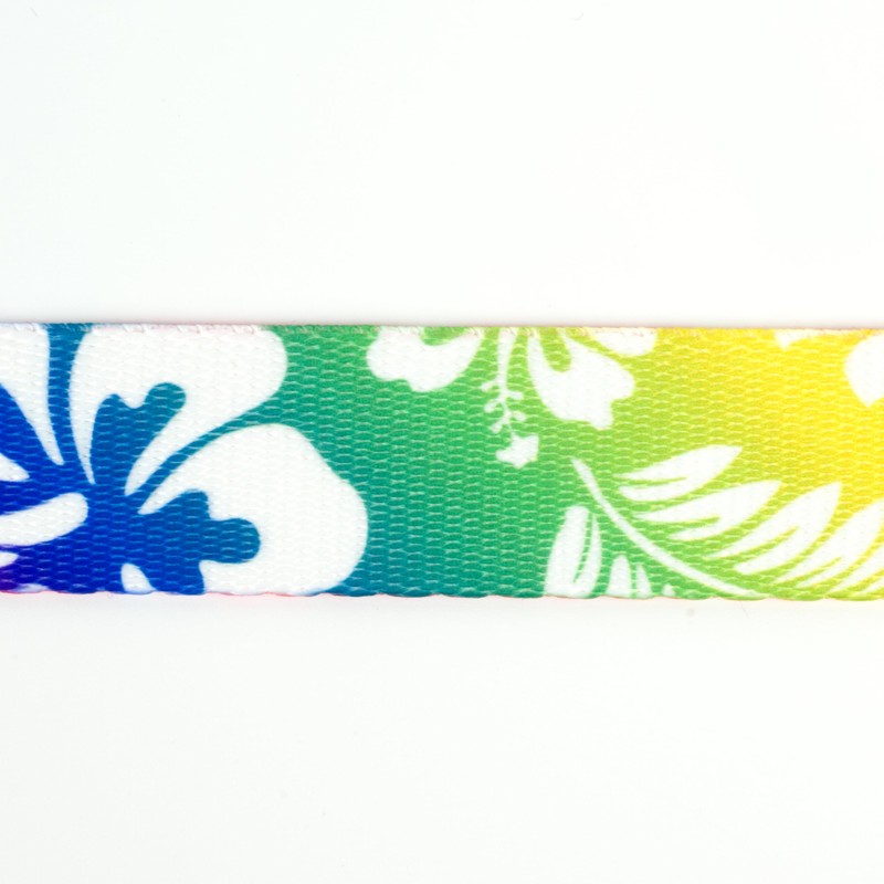Country Brook Design - Hawaiian Rainbow Polyester Webbing (1 Inch,