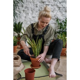 YINGXIN Large Plant Repotting Mat - Indoor Potting Mat for Gardening, Plant Transplant Tarp, Watering Tray & Floor Protector - 29.5"X29.5"(Green)