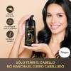 Kaisasa Shampoo Con Tinte Cubre Canas Con Aceite De Argán