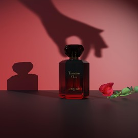 Diane Castel Tentation Oud Gift Set - Amber Spicy Gourmand Fragrance - Women Perfume and Body Lotion - Notes of Saffron, Jasmine, and Oud - 3 pc