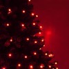 70 G12 Red Globe Christmas Lights, 24 ft LED Red