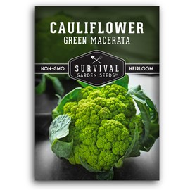 Green Macerata Cauliflower Seed for Planting - 1 Packet with Instructions to Plant and Grow Italian Verde di Macerata in Your Home Vegetable Garden - Non-GMO Heirloom Variety- Survival Garden Seeds